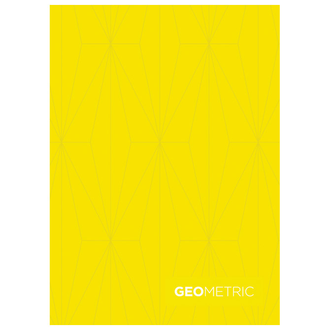 000040705